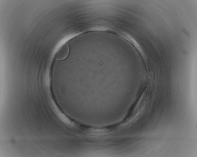 X0000115490795200911061306