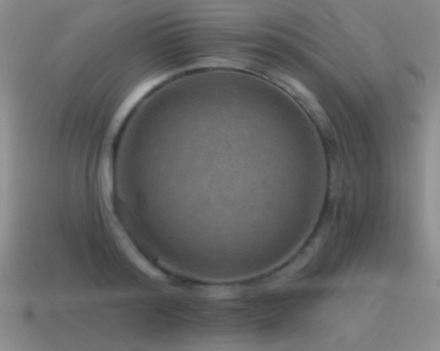 X0000115490796200911061306