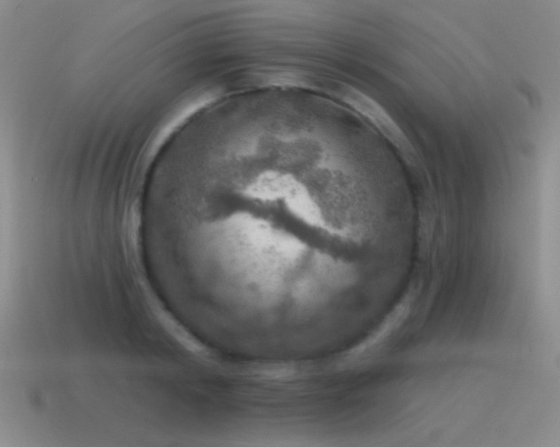 X0000115490798200911061306