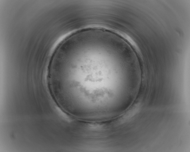 X0000115490799200911061305