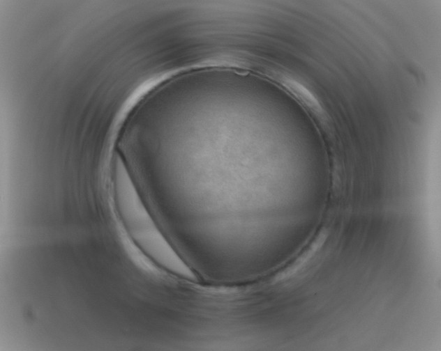 X0000115490800200911061305