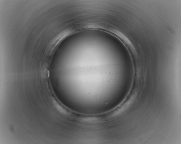 X0000115490801200911061305