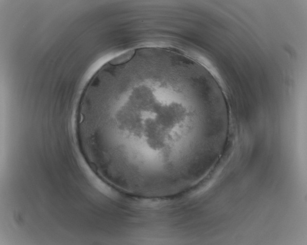 X0000115490803200911061305