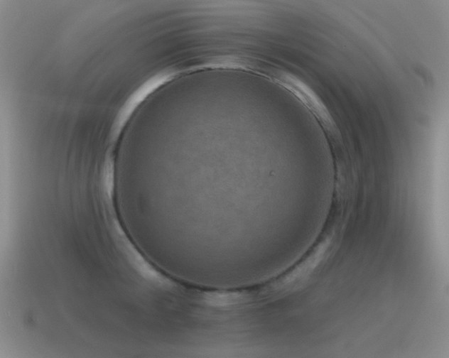 X0000115490804200911061305