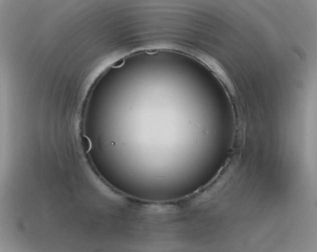 X0000115490805200911061305