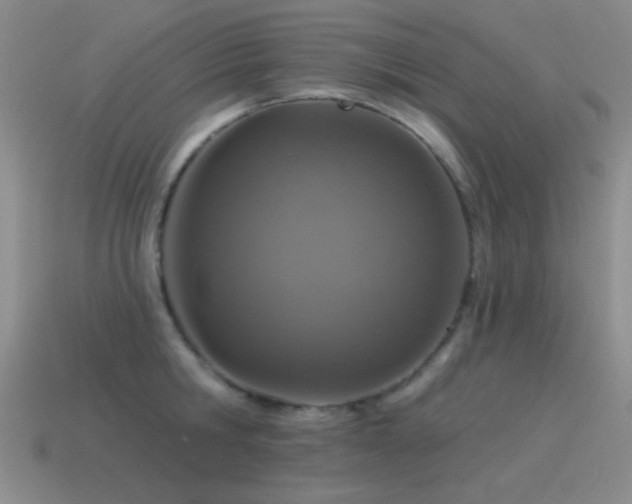 X0000115490806200911061305