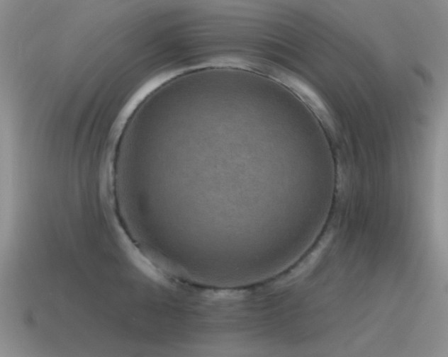 X0000115490808200911061305