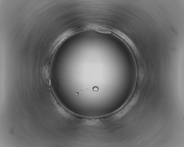 X0000115490809200911061305