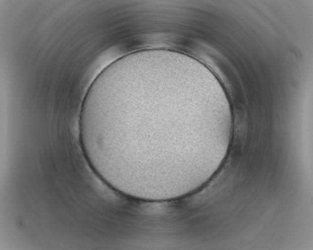 X0000115490810200911061305