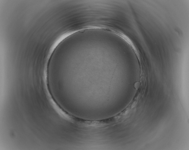 X0000115490811200911061305