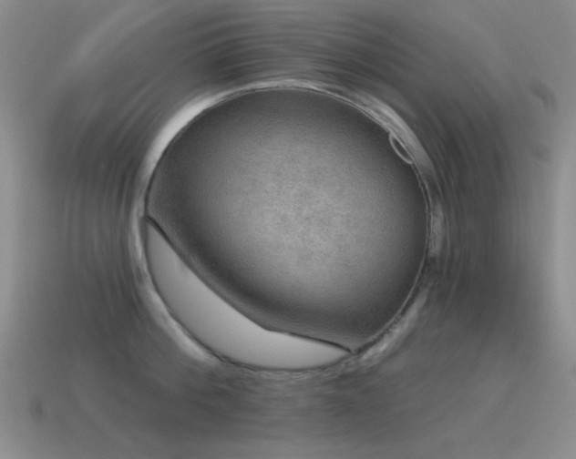 X0000115490812200911061305