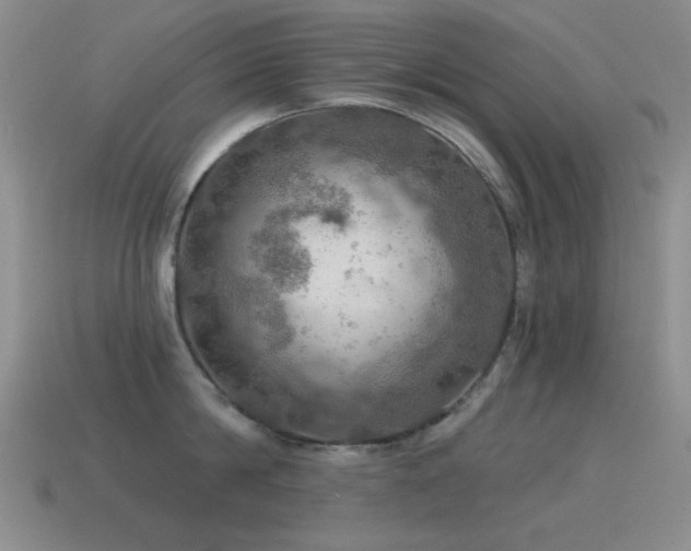 X0000115490814200911061305