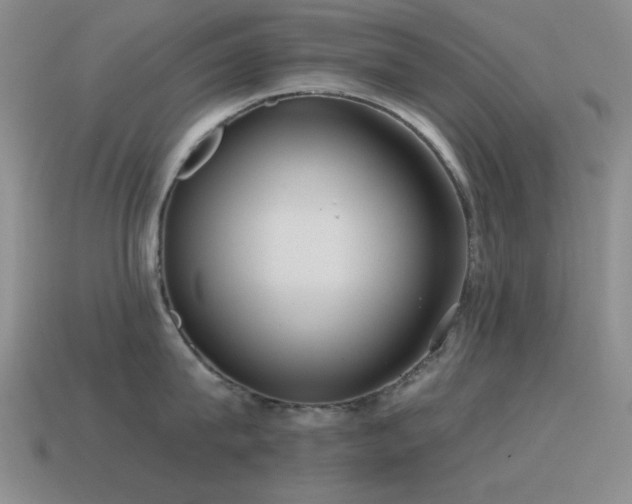 X0000115490815200911061305