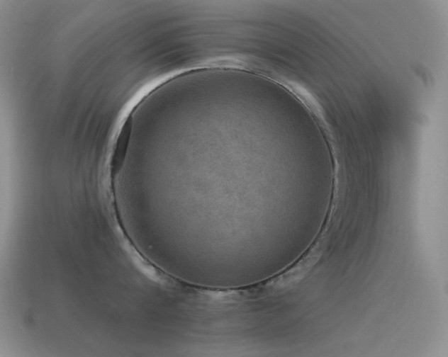 X0000115490816200911061305