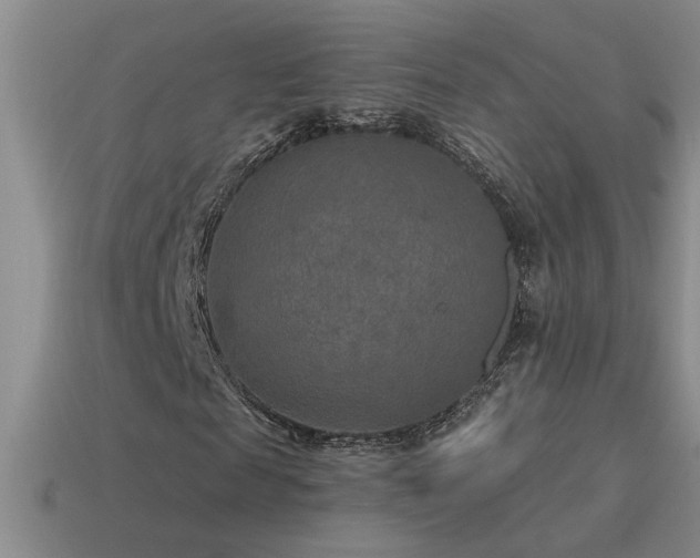 X0000115490817200911061305