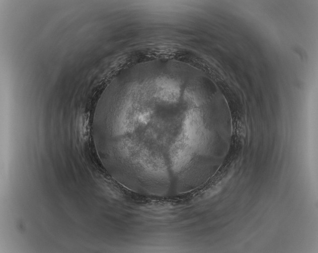 X0000115490818200911061305