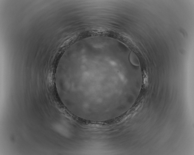 X0000115490819200911061305
