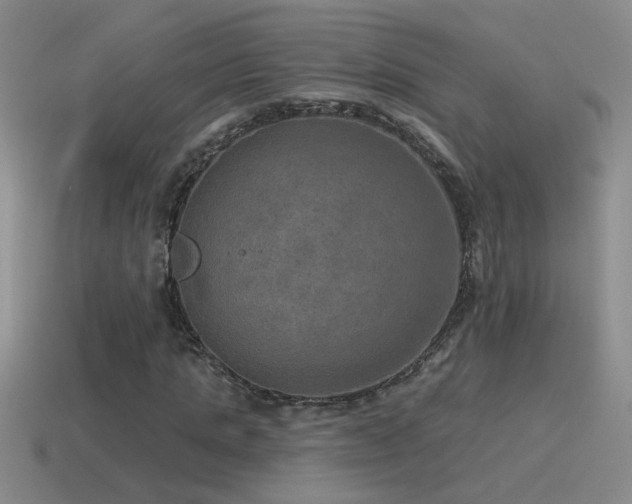 X0000115490821200911061305