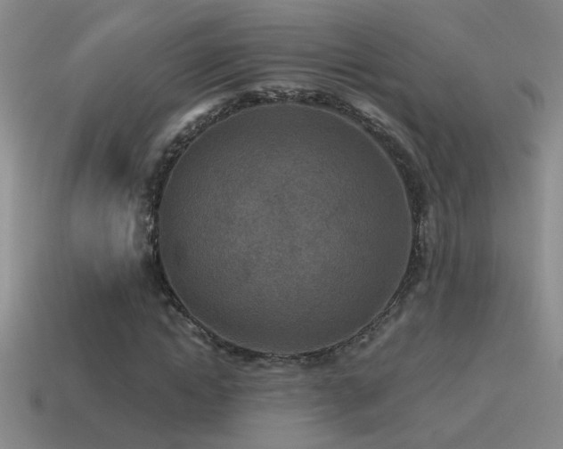 X0000115490822200911061305
