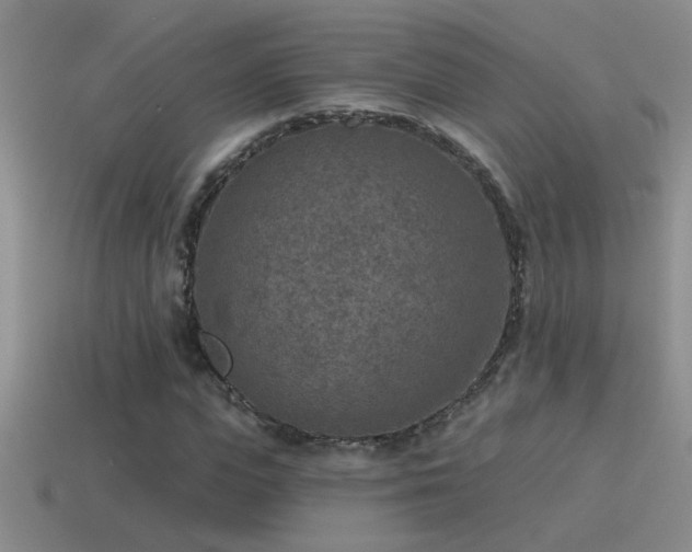 X0000115490823200911061305