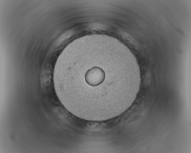 X0000115490824200911061305