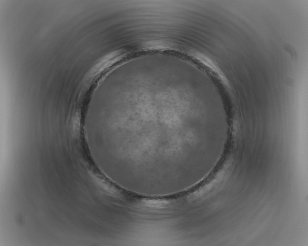 X0000115490825200911061305