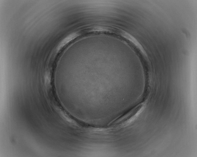 X0000115490826200911061305