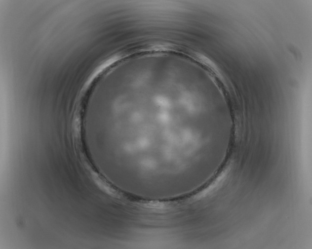 X0000115490827200911061305