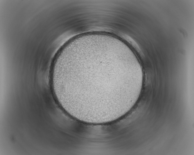 X0000115490828200911061305