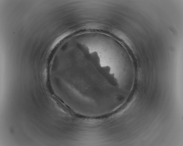 X0000115490829200911061305