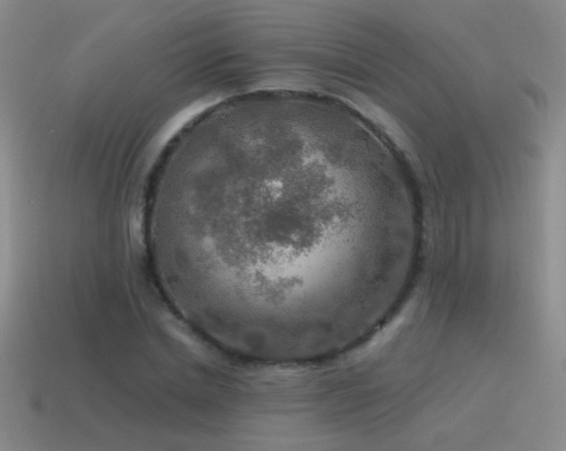 X0000115490830200911061305