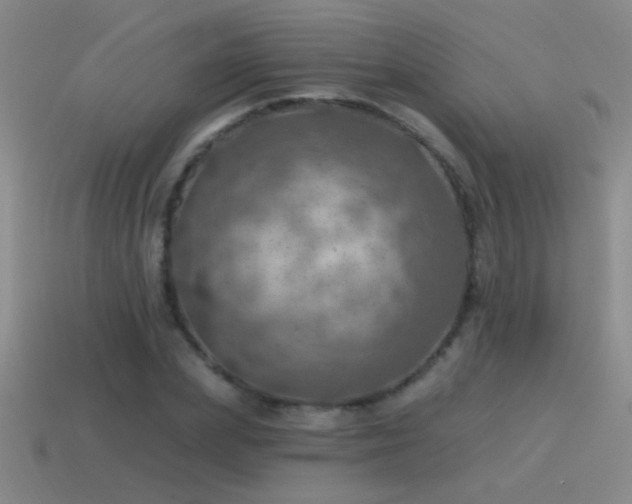 X0000115490831200911061305