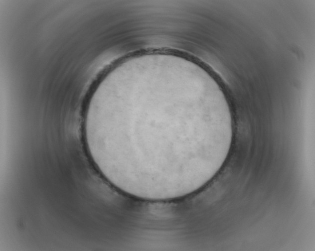 X0000115490832200911061305