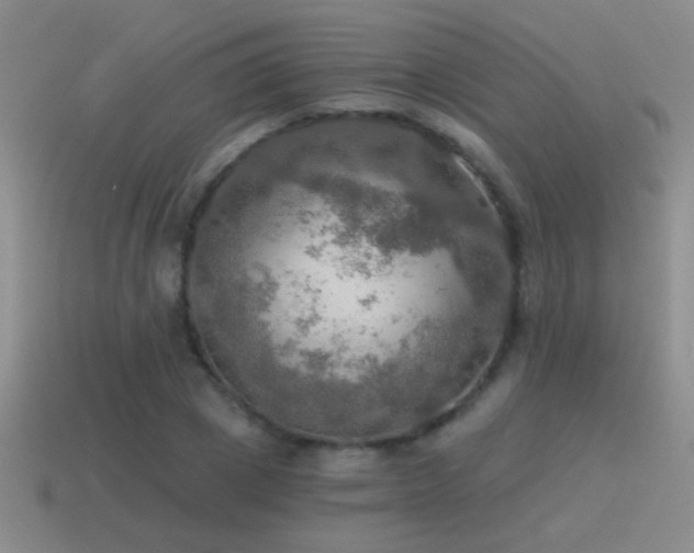 X0000115490833200911061305