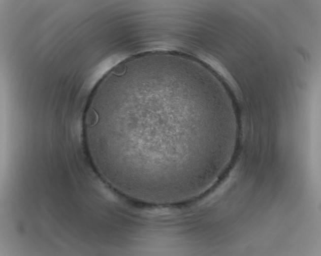 X0000115490834200911061305