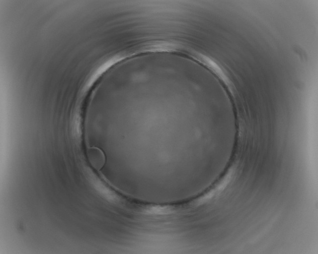 X0000115490835200911061305