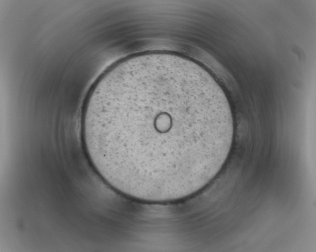 X0000115490836200911061305