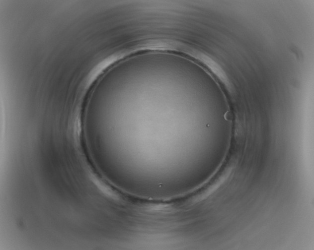 X0000115490837200911061305