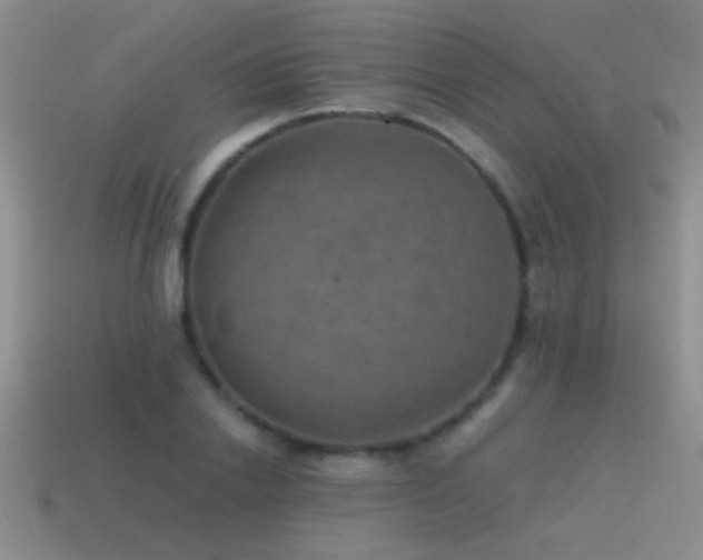 X0000115490838200911061305