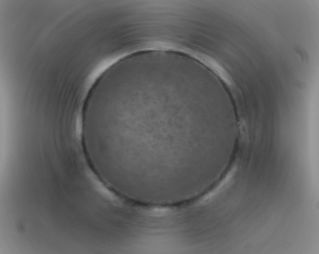 X0000115490839200911061305