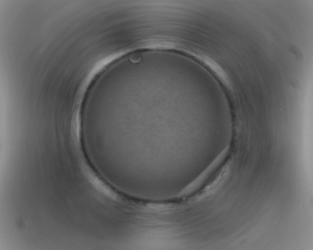 X0000115490840200911061305