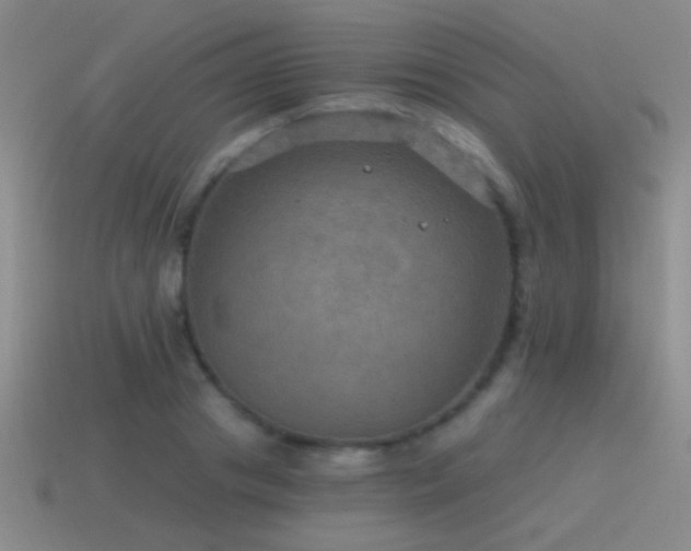 X0000115490841200911061305
