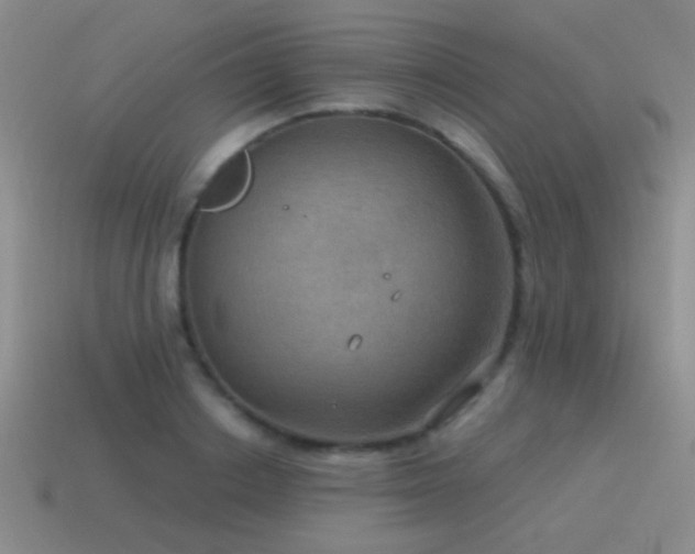 X0000115490842200911061305