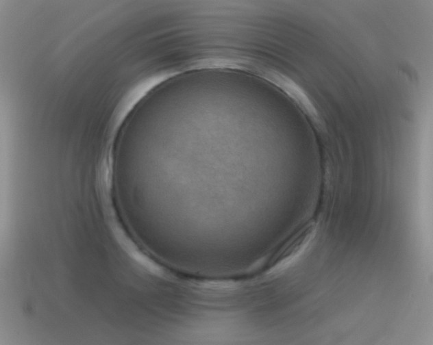 X0000115490844200911061305