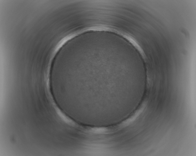 X0000115490845200911061305