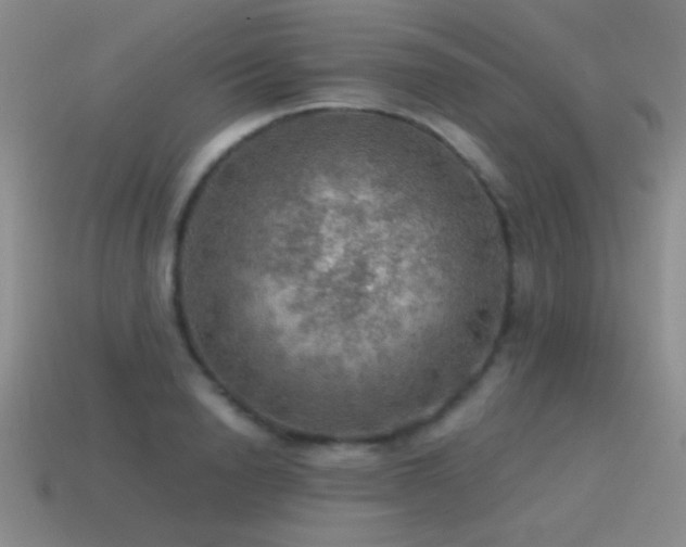 X0000115490846200911061305