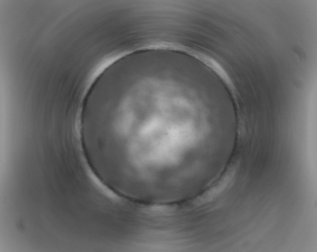 X0000115490847200911061305