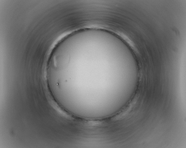 X0000115490848200911061305