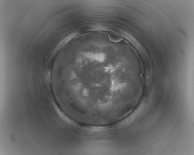 X0000115490849200911061305