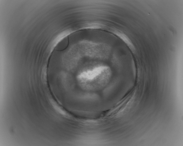 X0000115490850200911061305